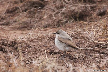 Gran viaje de primavera 2023 (3° parte)