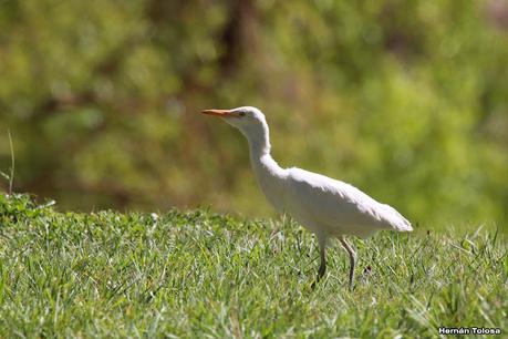 Gran viaje de primavera 2023 (3° parte)