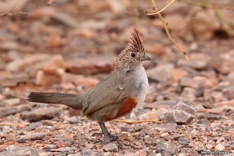 Gran viaje de primavera 2023 (3° parte)