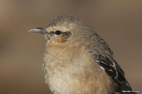 Gran viaje de primavera 2023 (3° parte)