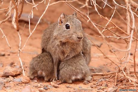Gran viaje de primavera 2023 (3° parte)