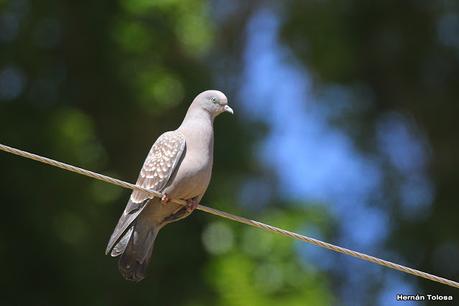 Gran viaje de primavera 2023 (3° parte)