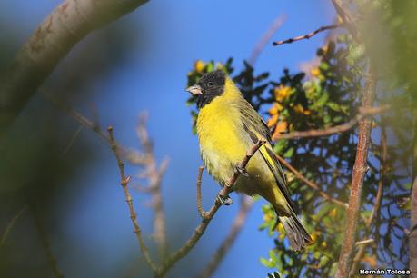 Gran viaje de primavera 2023 (3° parte)