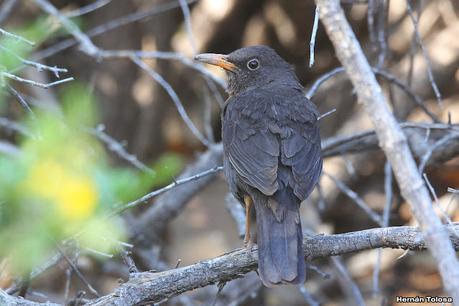 Gran viaje de primavera 2023 (3° parte)