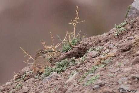 Gran viaje de primavera 2023 (3° parte)