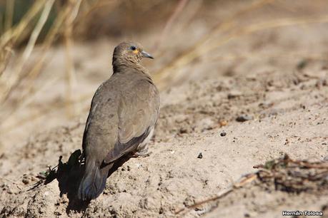 Gran viaje de primavera 2023 (3° parte)