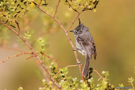 Gran viaje de primavera 2023 (3° parte)
