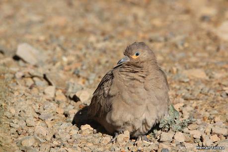 Gran viaje de primavera 2023 (3° parte)