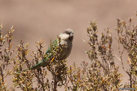 Gran viaje de primavera 2023 (3° parte)