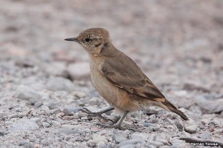 Gran viaje de primavera 2023 (3° parte)