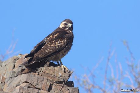 Gran viaje de primavera 2023 (3° parte)