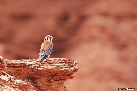 Gran viaje de primavera 2023 (3° parte)