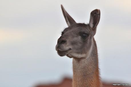 Gran viaje de primavera 2023 (3° parte)