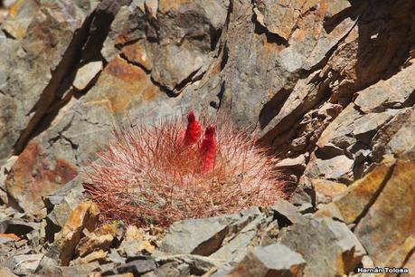 Gran viaje de primavera 2023 (3° parte)