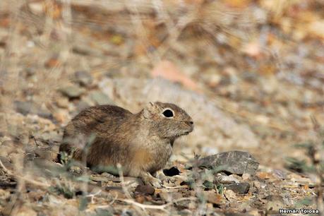 Gran viaje de primavera 2023 (3° parte)