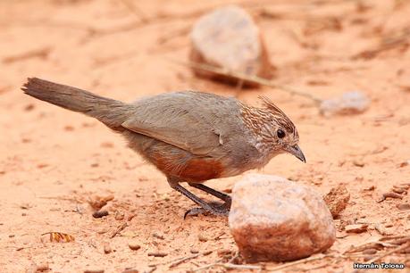 Gran viaje de primavera 2023 (3° parte)