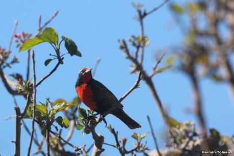 Gran viaje de primavera 2023 (3° parte)