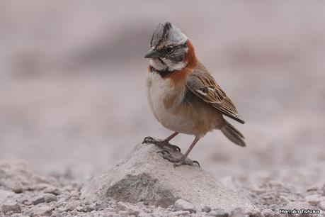 Gran viaje de primavera 2023 (3° parte)