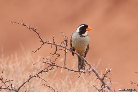 Gran viaje de primavera 2023 (3° parte)