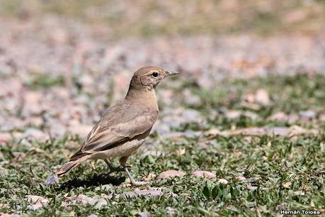 Gran viaje de primavera 2023 (3° parte)