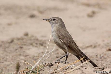 Gran viaje de primavera 2023 (3° parte)