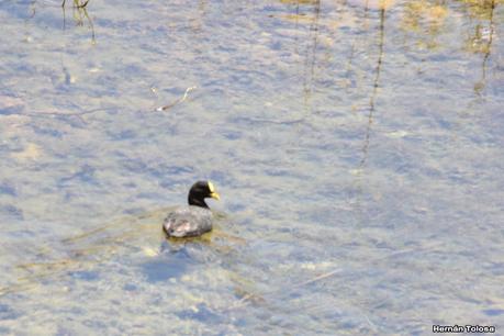 Gran viaje de primavera 2023 (3° parte)