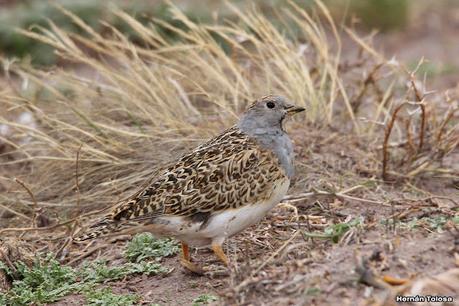 Gran viaje de primavera 2023 (3° parte)