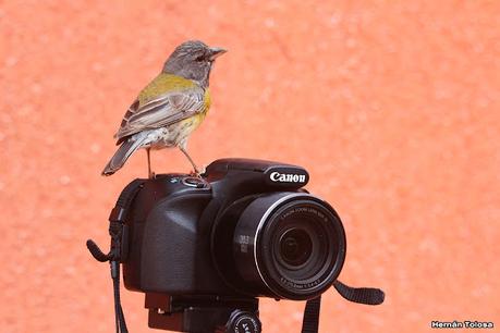 Gran viaje de primavera 2023 (3° parte)