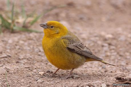 Gran viaje de primavera 2023 (3° parte)