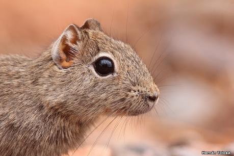 Gran viaje de primavera 2023 (3° parte)