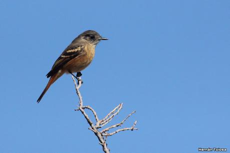 Gran viaje de primavera 2023 (3° parte)