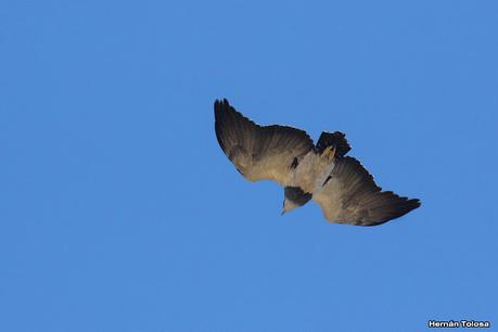 Gran viaje de primavera 2023 (3° parte)