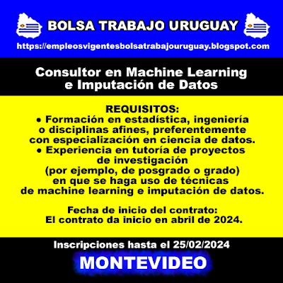 Consultor en Machine Learning e Imputación de Datos Consultor en Machine Learning e Imputación de Datos