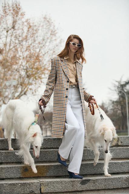 COMPRAS DE LA SEMANA; FEBRERO (I).- COMPRAS DE LA SEMANA; FEBRERO (I).-