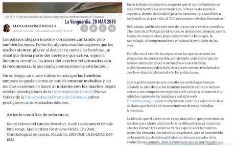 El sexo de lo reyezuelos