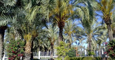 Casas rurales en Alicante con piscina – Excursiones por la provincia de Alicante Casas rurales en Alicante con piscina – Excursiones por la provincia de Alicante