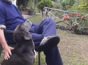 electoral terror planifican (casos Golden Anabel Hernández)… Miren esto…