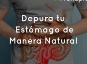 Depura Estómago Manera Natural