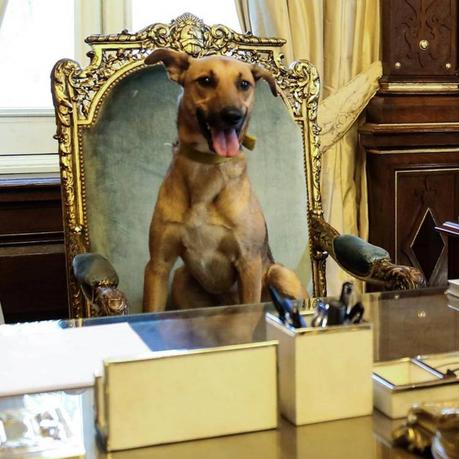 HOLA CONAN, TE ESTAMOS LLAMANDO