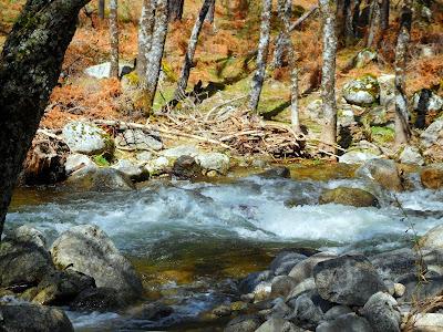 Valle d Iruelas. Agua. 2