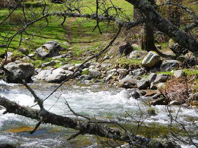 Valle d Iruelas. Agua. 2