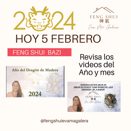 Hoy 5 de febrero Ajustes y Activación de Nobles