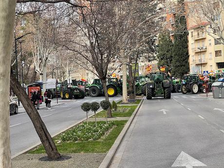 Agricultores españoles se manifiestan para evitar la ruina (fotografia)