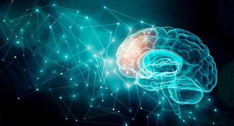 Cómo compensa el cerebro el deterioro cognitivo relacionado con la edad
