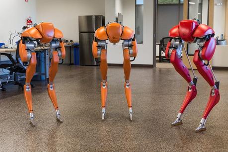 Robot de dos patas impulsado por tejido muscular