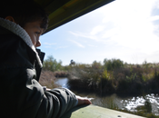 charca Suárez, pantano salvaje playa Motril