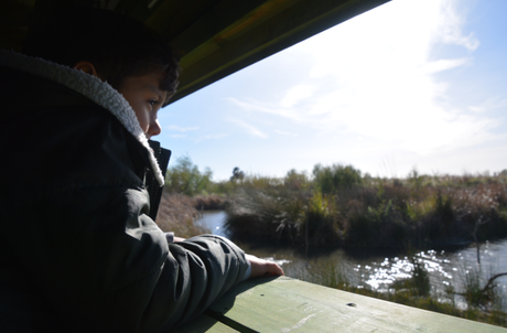 La charca Suárez, un pantano salvaje a pie de playa en Motril La charca Suárez, un pantano salvaje a pie de playa en Motril