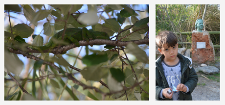 La charca Suárez, un pantano salvaje a pie de playa en Motril