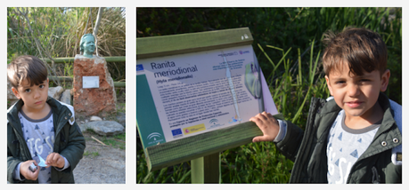 La charca Suárez, un pantano salvaje a pie de playa en Motril La charca Suárez, un pantano salvaje a pie de playa en Motril