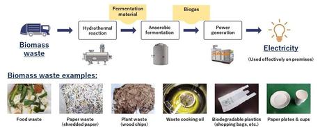 Toyota Chemical Engineering trabaja por un futuro descarbonizado